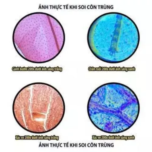 Kính hiển vi dành cho trẻ em – Hỗ trợ học sinh khám phá sinh học - Ảnh 8