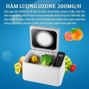 Máy rửa và khử độc rau củ quả – Làm sạch thực phẩm nhanh, an toàn